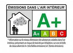 micro organisme volatile